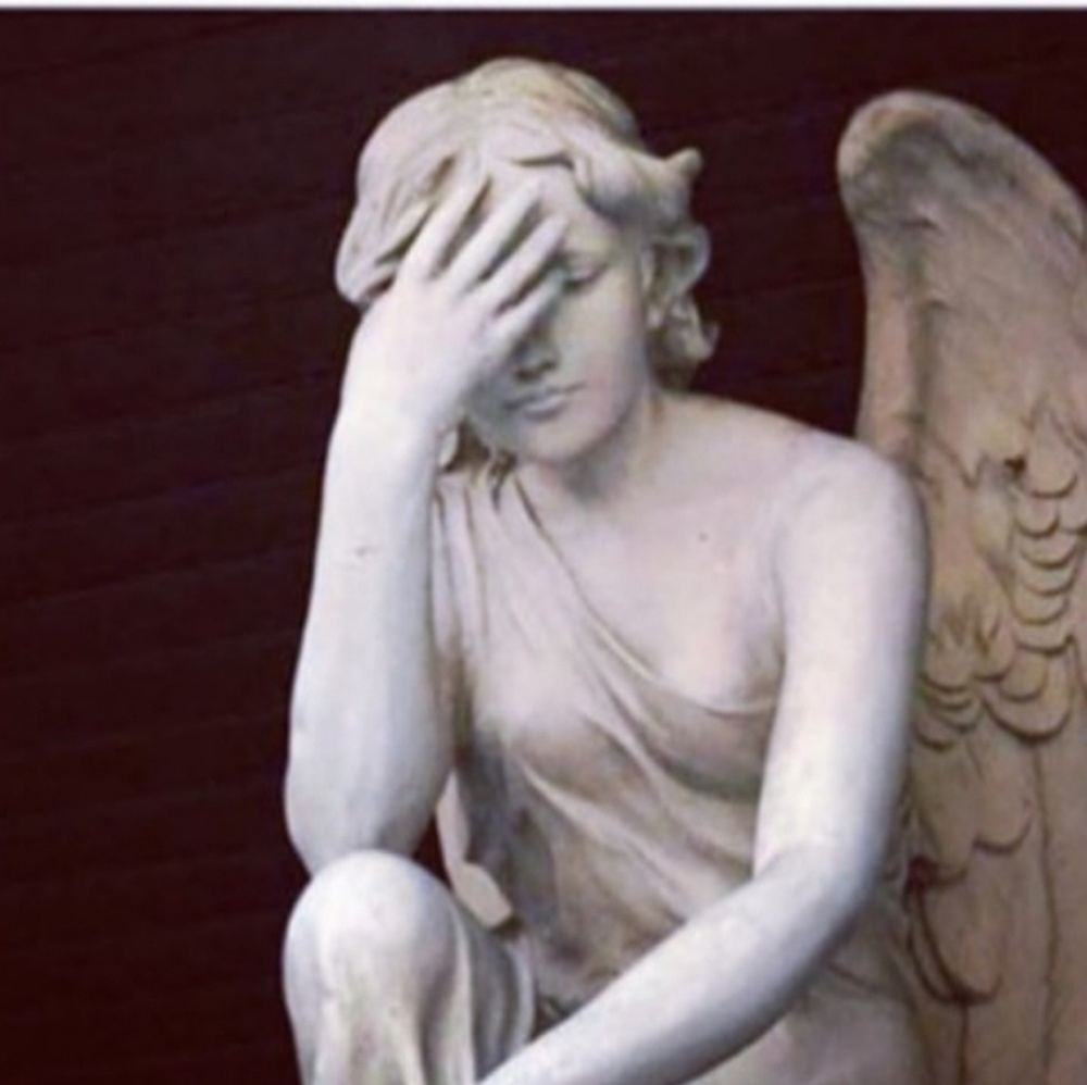 Meet your Posher, Noe